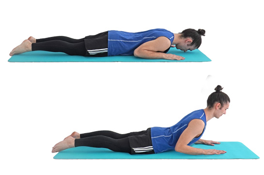 Pilates Schwan (Swan)